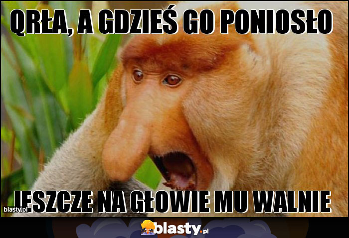 QRŁA, a gdzieś go poniosło QRŁA, a gdzieś go poniosło