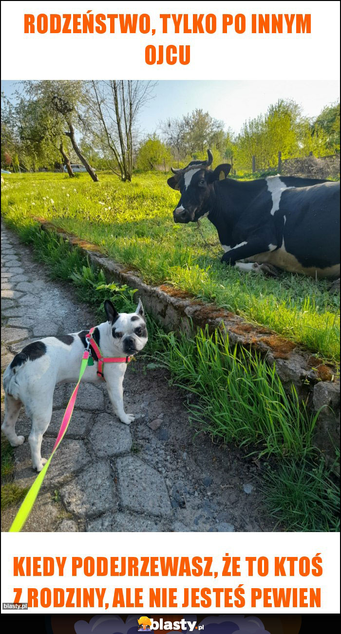 Rodzeństwo, tylko po innym ojcu Rodzeństwo, tylko po innym ojcu