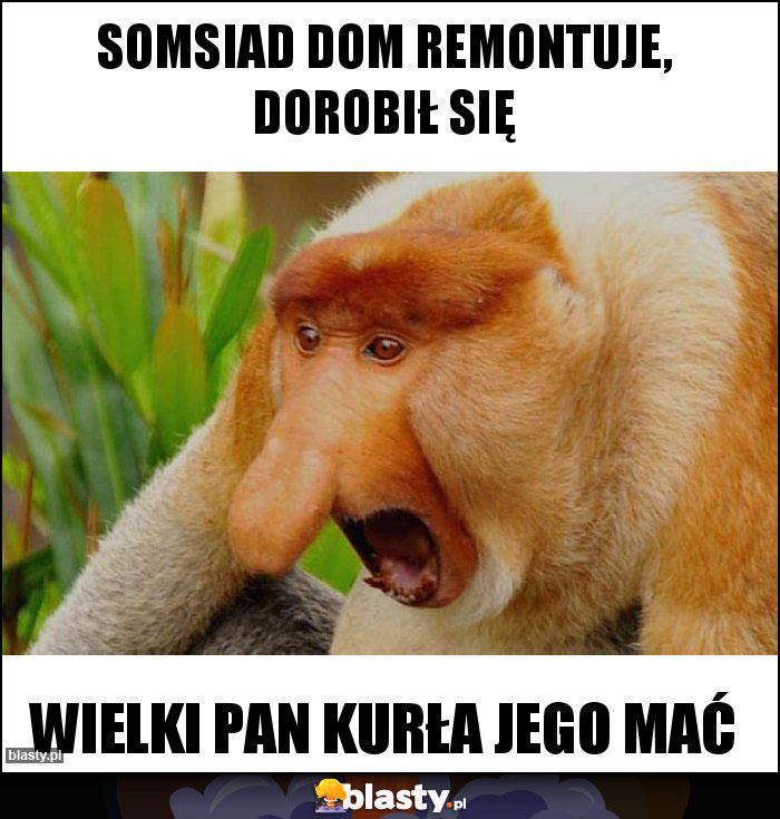 Somsiad dom remontuje, dorobił się Somsiad dom remontuje, dorobił się