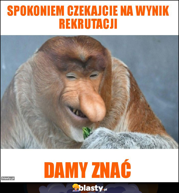 Spokoniem czekajcie na wynik rekrutacji Spokoniem czekajcie na wynik rekrutacji