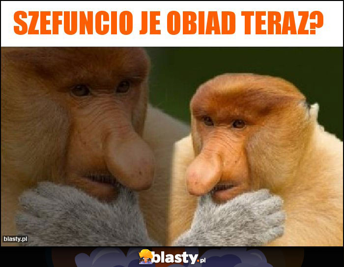 Szefuncio je obiad teraz? Szefuncio je obiad teraz?
