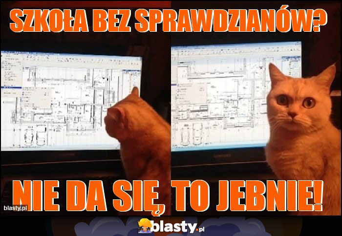 szkoła bez sprawdzianów? szkoła bez sprawdzianów?