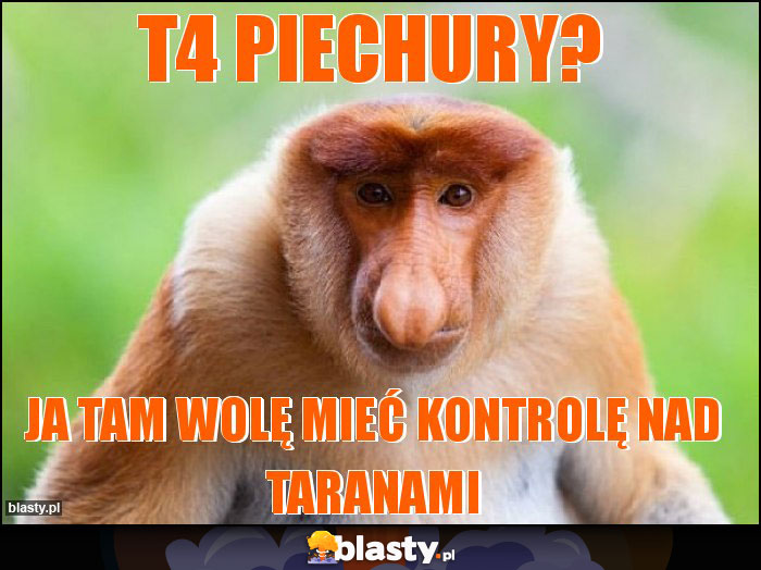 T4 piechury? T4 piechury?