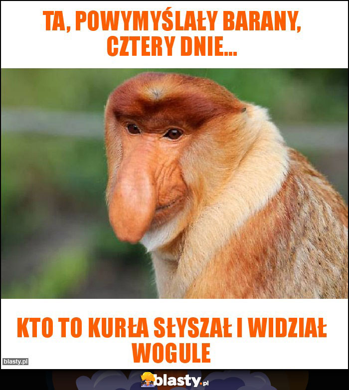 ta, powymyślały barany, cztery dnie... ta, powymyślały barany, cztery dnie...