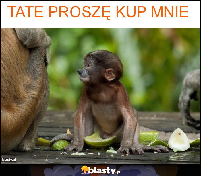 Tate proszę kup mnie Tate proszę kup mnie