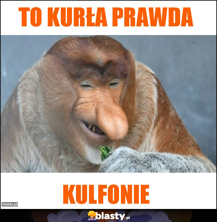 To kurła prawda To kurła prawda