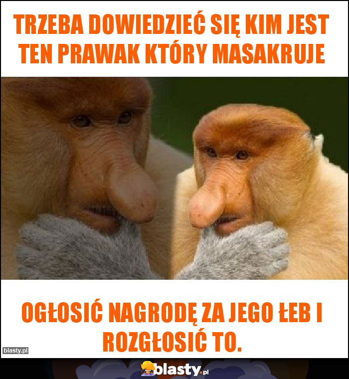 trzeba dowiedzieć się kim jest ten prawak który masakruje trzeba dowiedzieć się kim jest ten prawak który masakruje