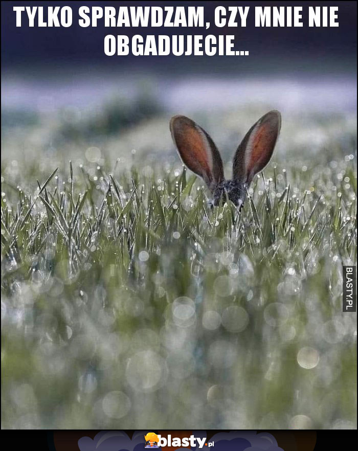 Tylko sprawdzam, czy mnie nie obgadujecie... Tylko sprawdzam, czy mnie nie obgadujecie...