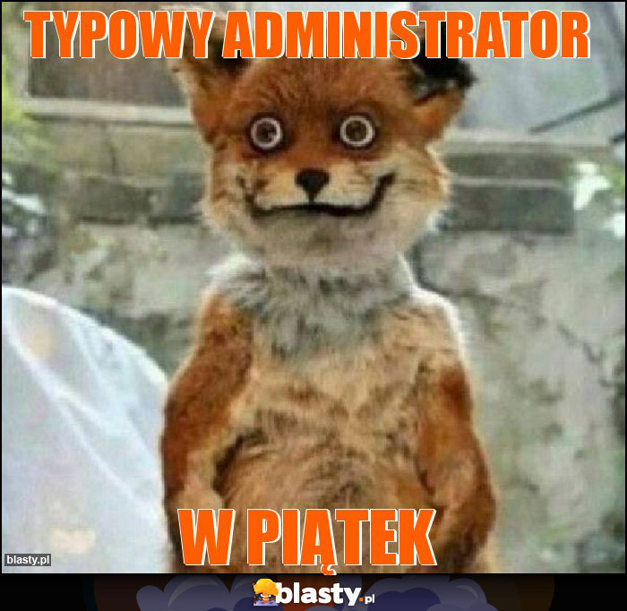 Typowy Administrator Typowy Administrator