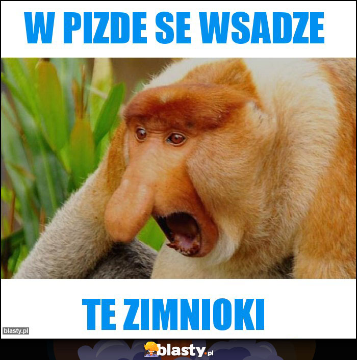 W PIZDE SE WSADZE W PIZDE SE WSADZE
