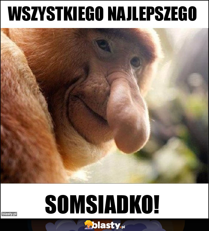 wszystkiego najlepszego wszystkiego najlepszego