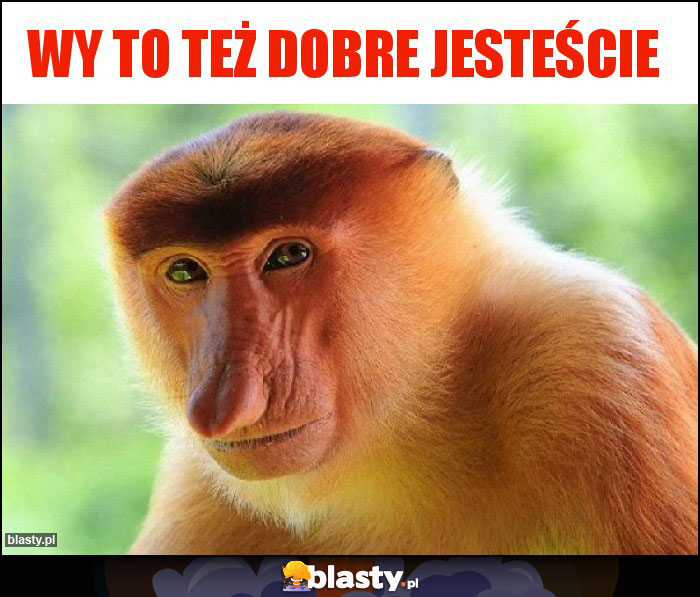 Wy to też dobre jesteście Wy to też dobre jesteście