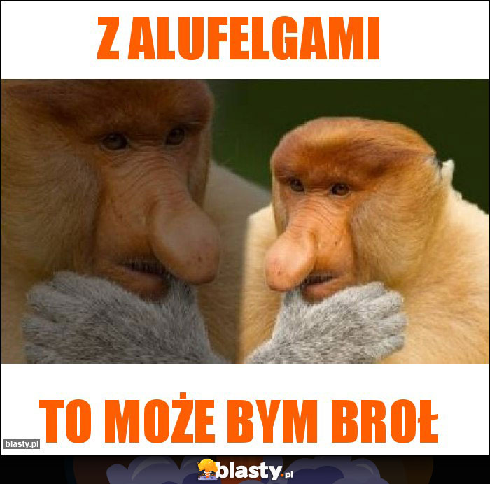 Z alufelgami Z alufelgami
