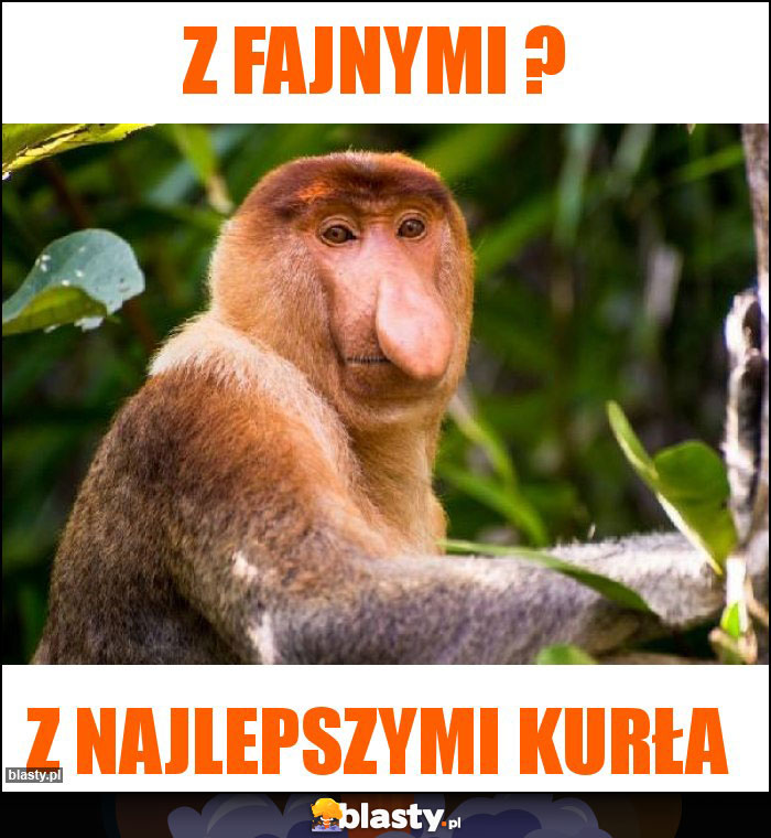 Z fajnymi ? Z fajnymi ?