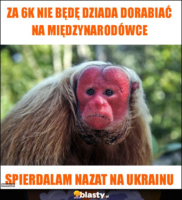 Za 6k nie będę dziada dorabiać na międzynarodówce Za 6k nie będę dziada dorabiać na międzynarodówce