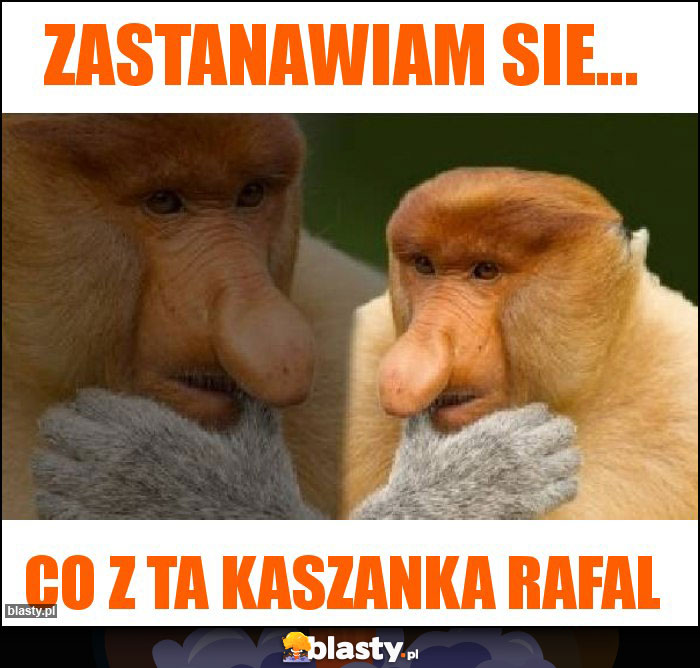 ZASTANAWIAM SIE...