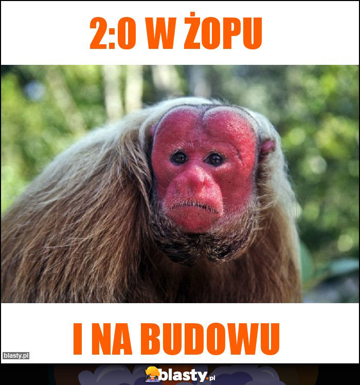 2:0 w żopu 2:0 w żopu