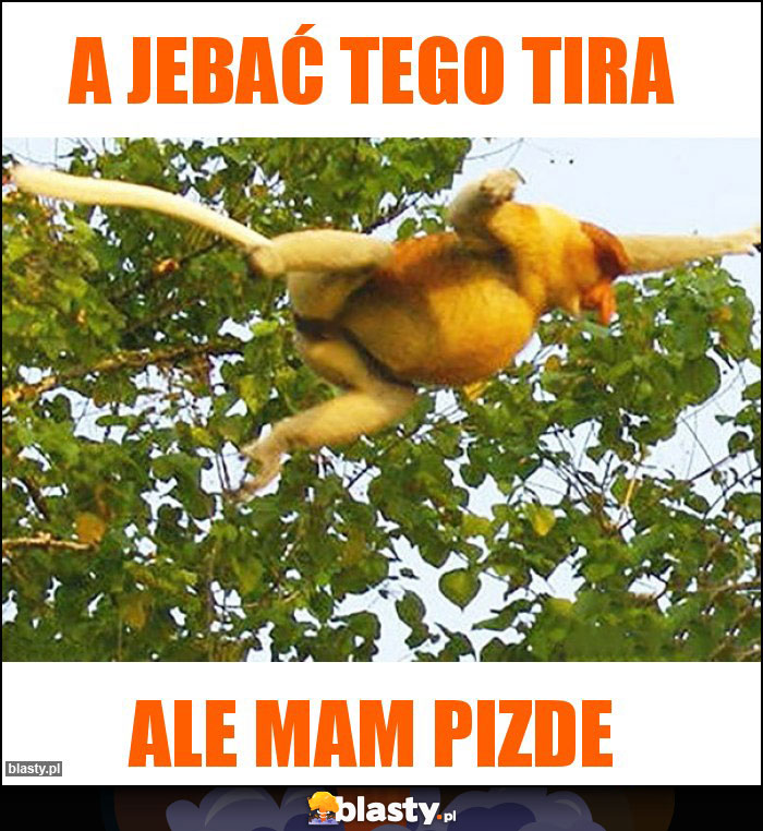 A jebać tego tira
