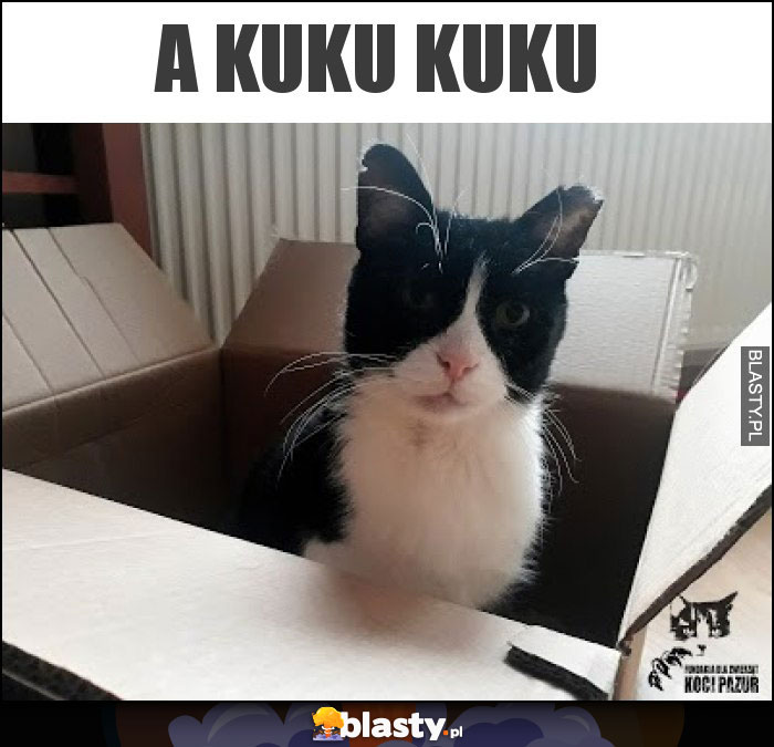 A kuku kuku A kuku kuku