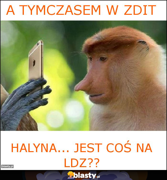 a tymczasem w ZDIT a tymczasem w ZDIT