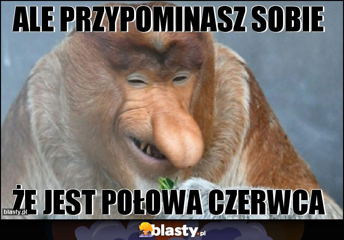 ale przypominasz sobie ale przypominasz sobie