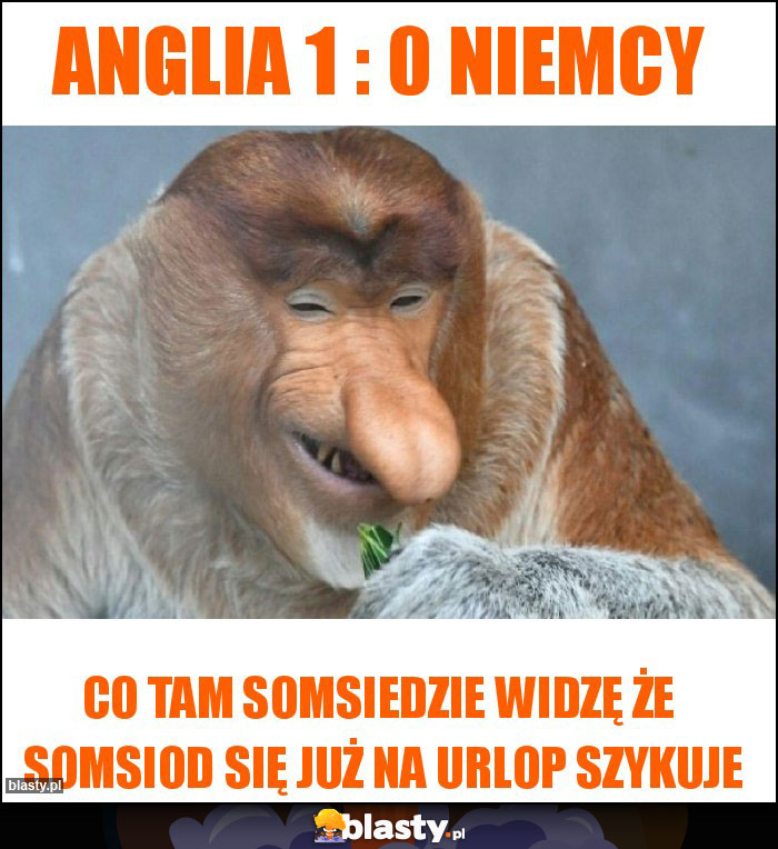 ANGLIA 1 : 0 NIEMCY ANGLIA 1 : 0 NIEMCY