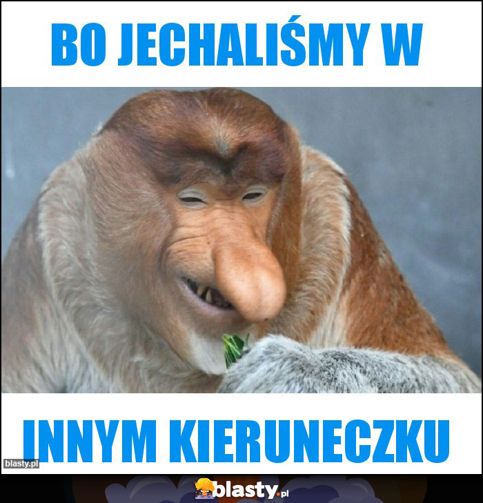 Bo jechaliśmy w Bo jechaliśmy w
