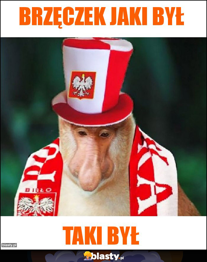 Brzęczek jaki był