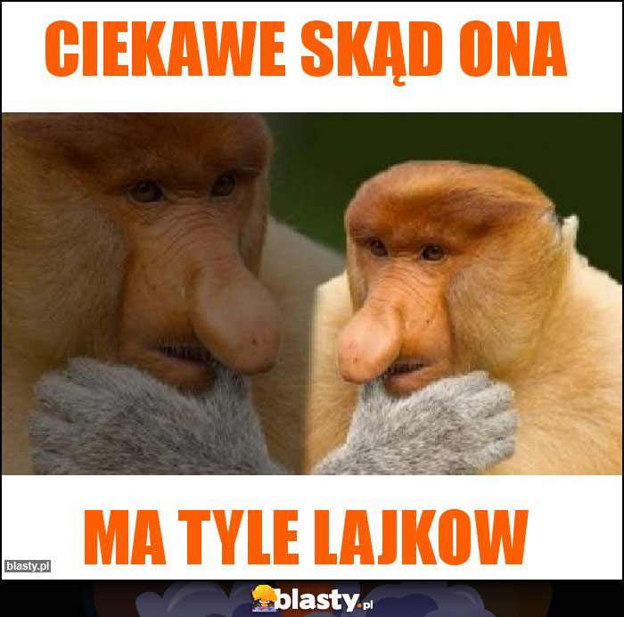 Ciekawe Skąd ona Ciekawe Skąd ona