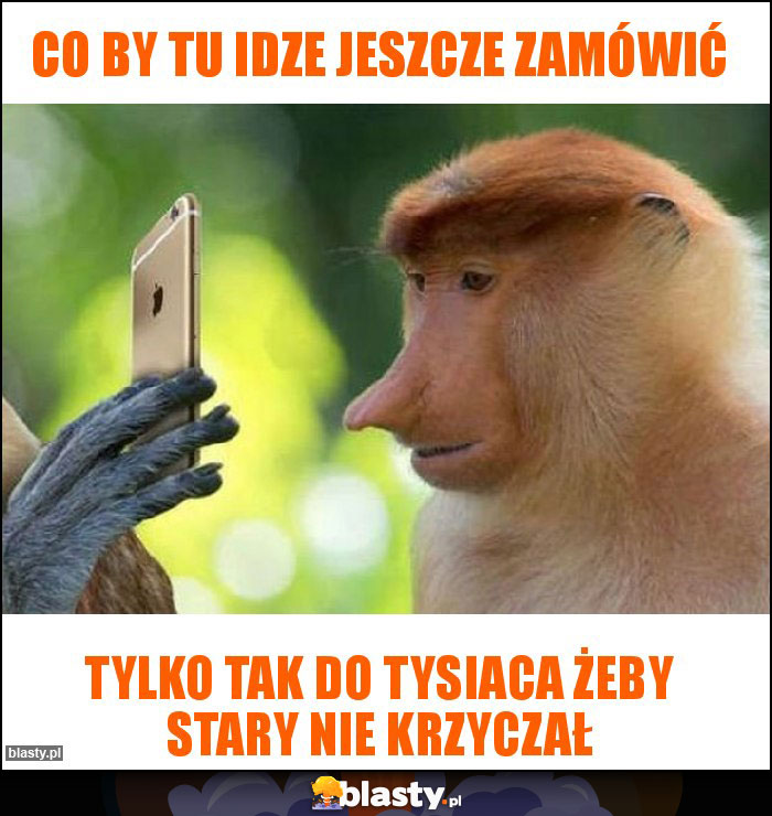 Co by tu Idze jeszcze zamówić Co by tu Idze jeszcze zamówić