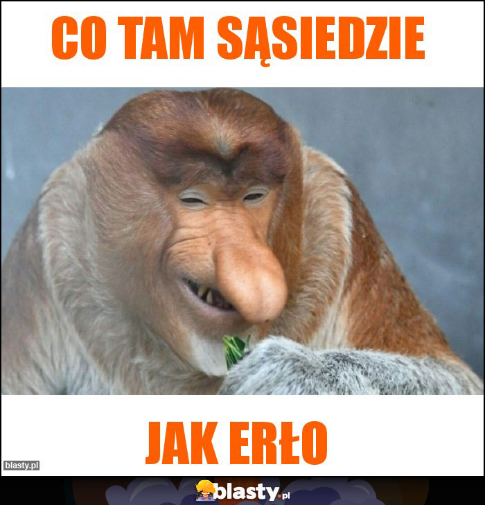 Co tam sąsiedzie Co tam sąsiedzie