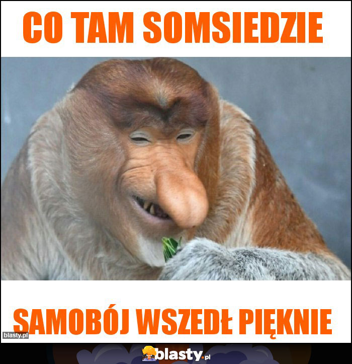 Co tam somsiedzie Co tam somsiedzie