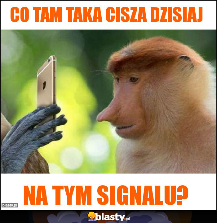 CO TAM TAKA CISZA DZISIAJ CO TAM TAKA CISZA DZISIAJ