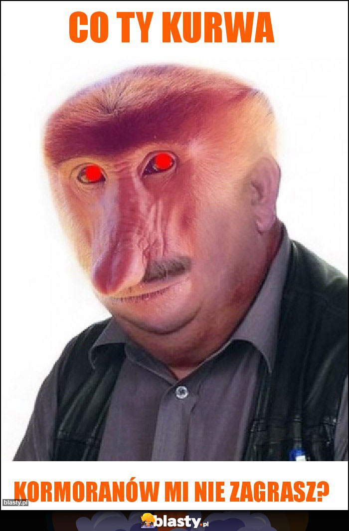 CO TY KURWA CO TY KURWA