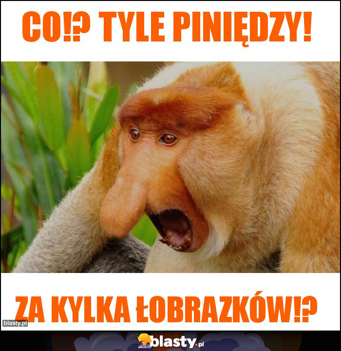 Co!? Tyle piniędzy!