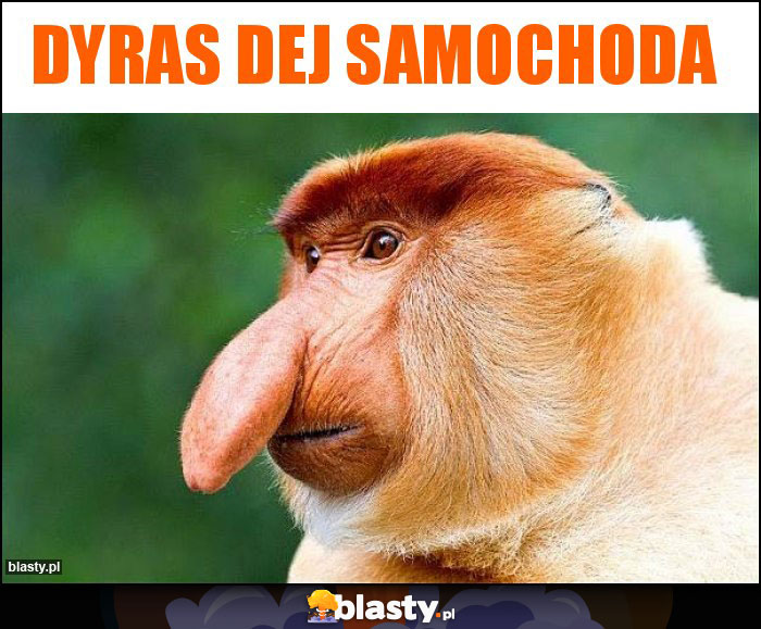 Dyras dej samochoda Dyras dej samochoda