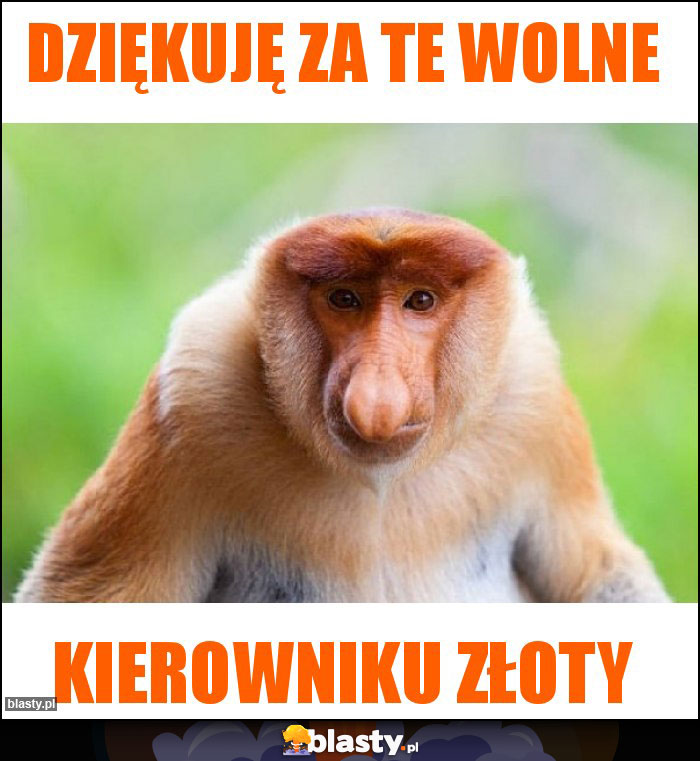 Dziękuję za te wolne Dziękuję za te wolne
