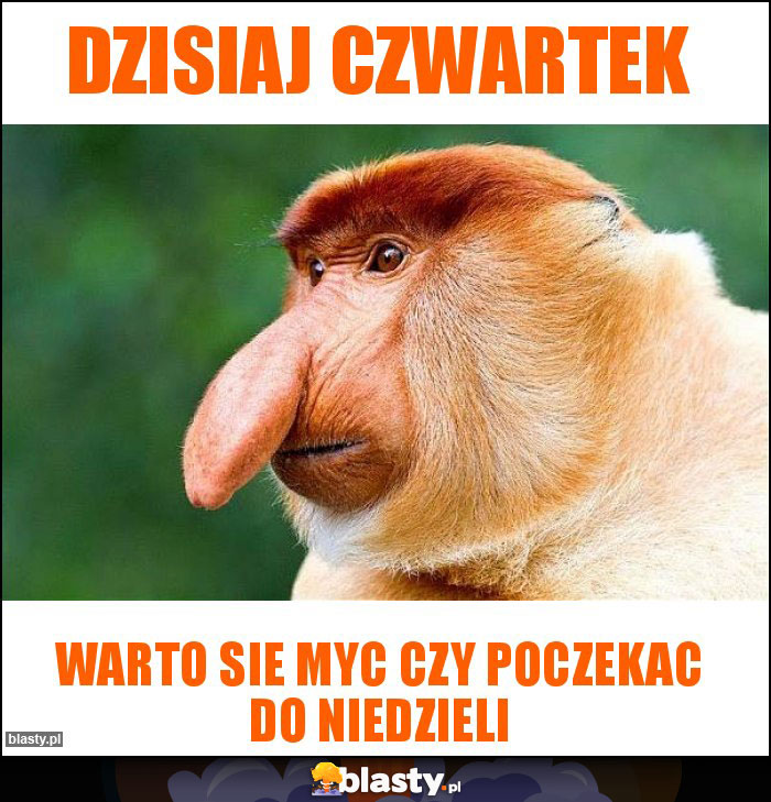 Dzisiaj czwartek