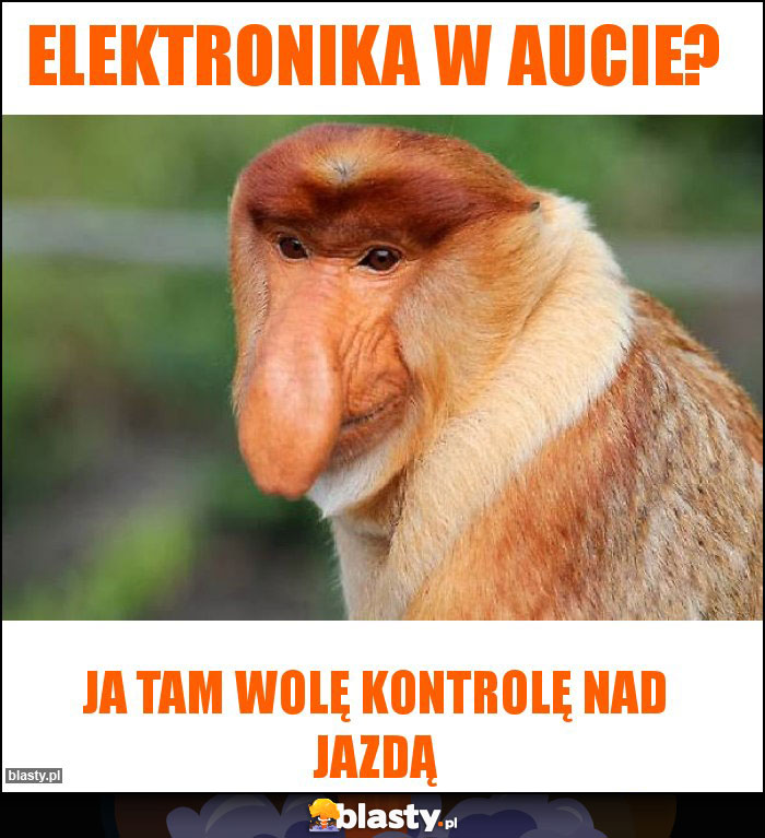Elektronika w aucie? Elektronika w aucie?