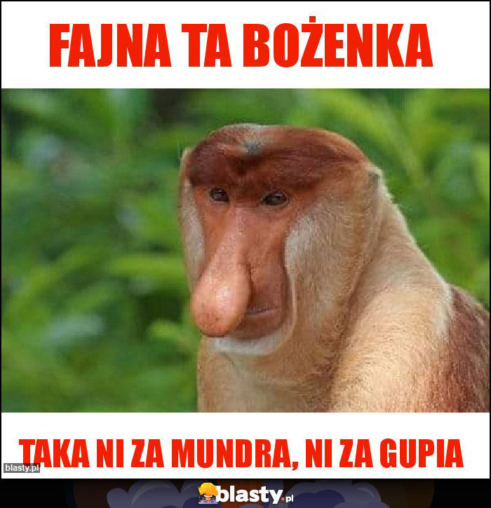 Fajna ta Bożenka Fajna ta Bożenka