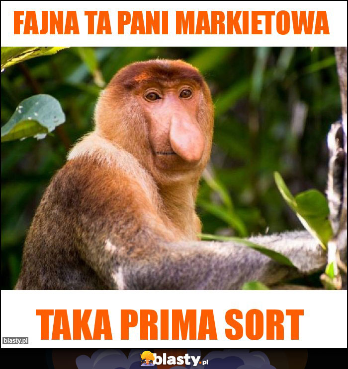 Fajna ta pani markietowa Fajna ta pani markietowa