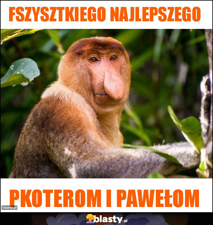 Fszysztkiego najlepszego