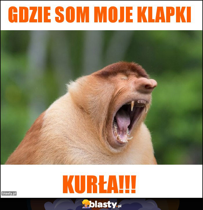 GDZIE SOM MOJE KLAPKI GDZIE SOM MOJE KLAPKI