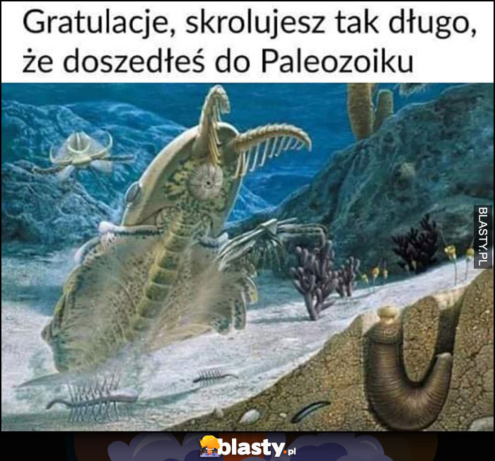 Gratulacje, skrolujesz tak długo, że doszedłeś do Paleozoiku