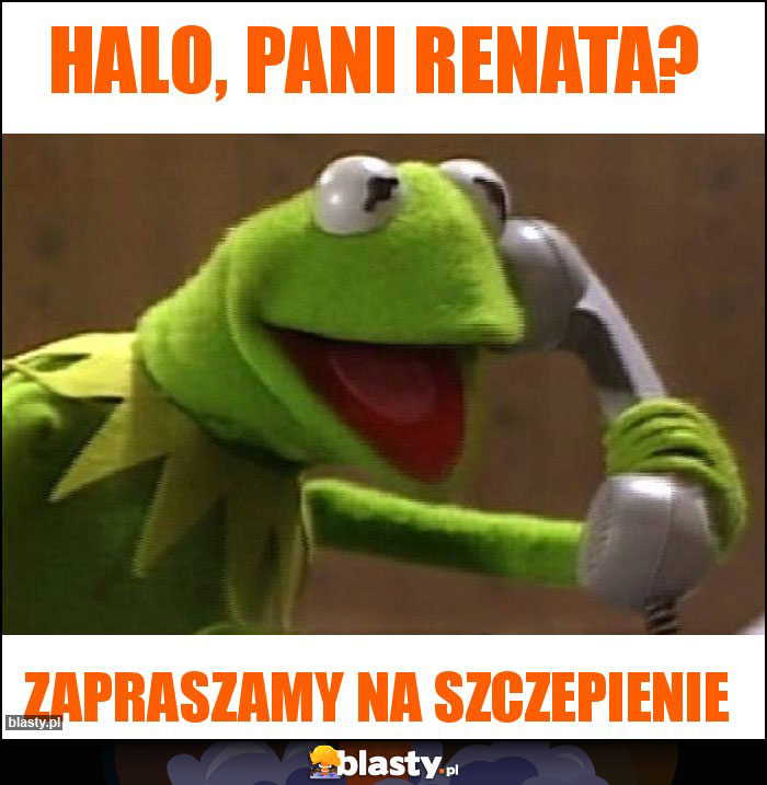 Halo, Pani Renata? Halo, Pani Renata?
