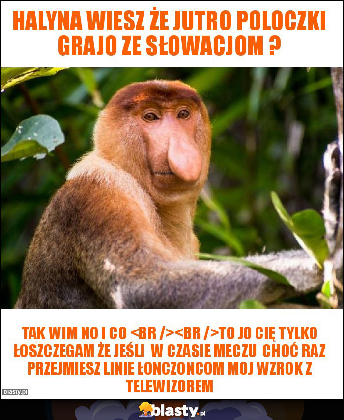 Halyna wiesz że jutro Poloczki grajo ze Słowacjom ? Halyna wiesz że jutro Poloczki grajo ze Słowacjom ?