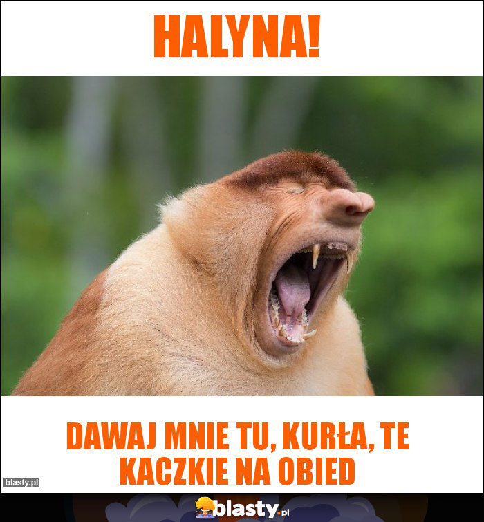 Halyna!