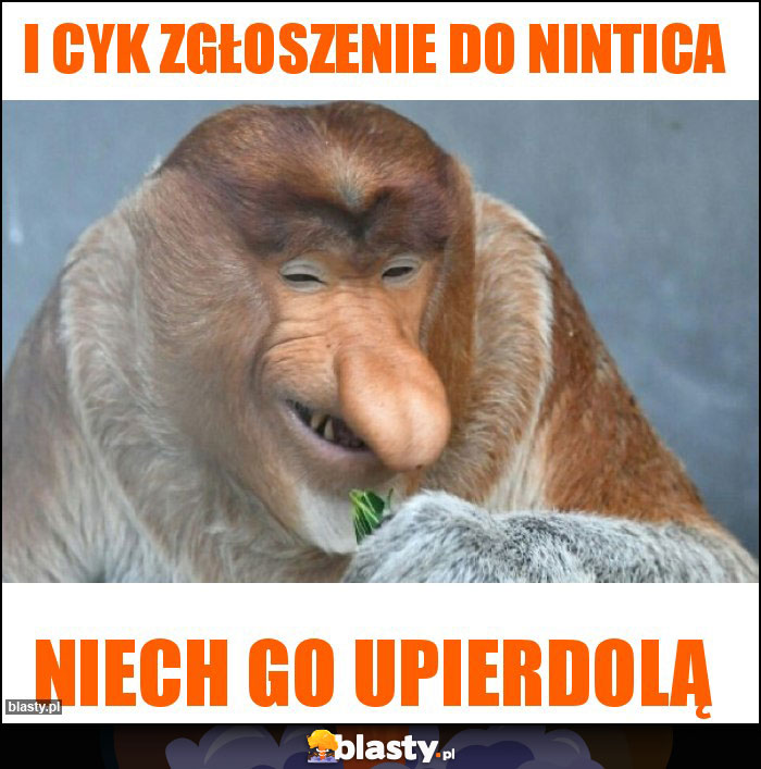 I cyk zgłoszenie do nintica