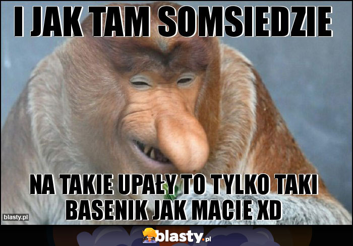 i jak tam somsiedzie i jak tam somsiedzie