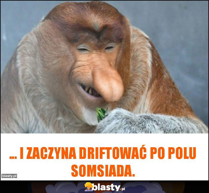 ... i zaczyna driftować po polu somsiada. ... i zaczyna driftować po polu somsiada.